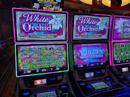 grand77bet featured game showcase